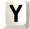 Y Y