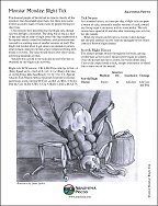 Blight Tick