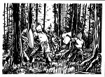 Forest Skirmish