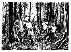 Forest Skirmish