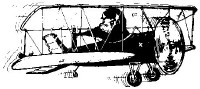 Flying Buffalo