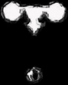 Owlman